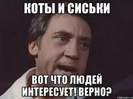 Расскажи чем интересуешься