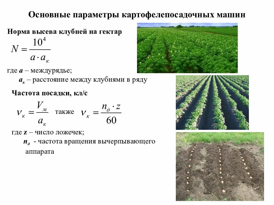 Посадка картофеля сколько на сотку. Норма высадки картофеля формула. Норма высева семенного картофеля. Норма семенной картофель для посадки. Расход посадки картофеля на 1 га.