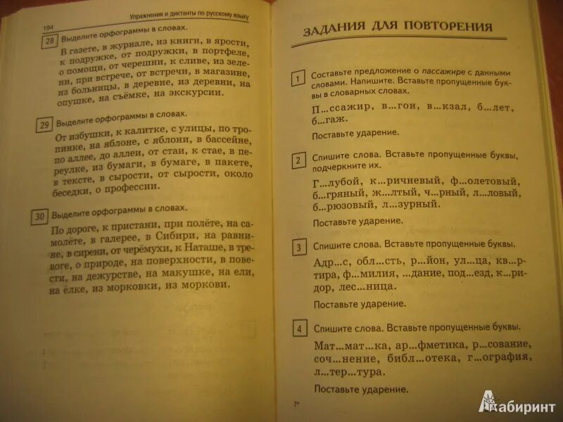 Текст лето диктант. Диктант яблоня. Диктант вечерняя прогулка. Диктант 4 класс. Диктант 2 класс по русскому языку.