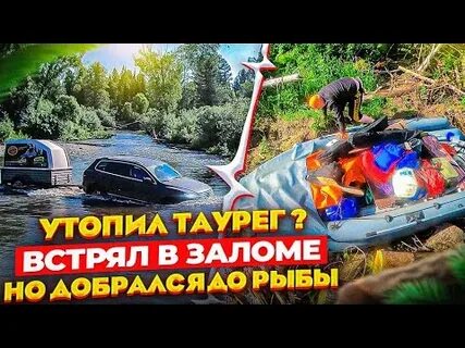 Видео беша