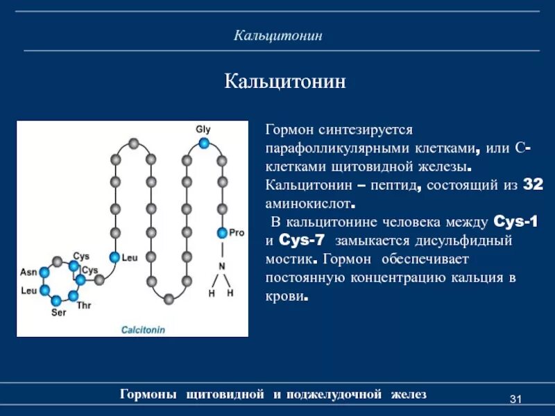 Кальцитонин 2 что значит. Кальцитонин 200. Кальцитонин гормон щитовидной железы что это такое. Кальцитонин строение молекулы. Кальцитонин и тиреокальцитонин.