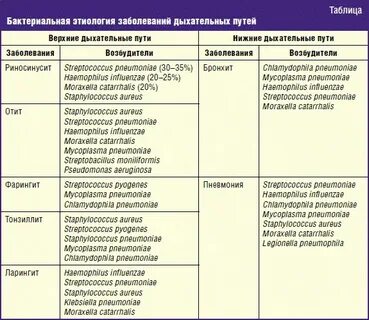 Название бактериальных инфекций