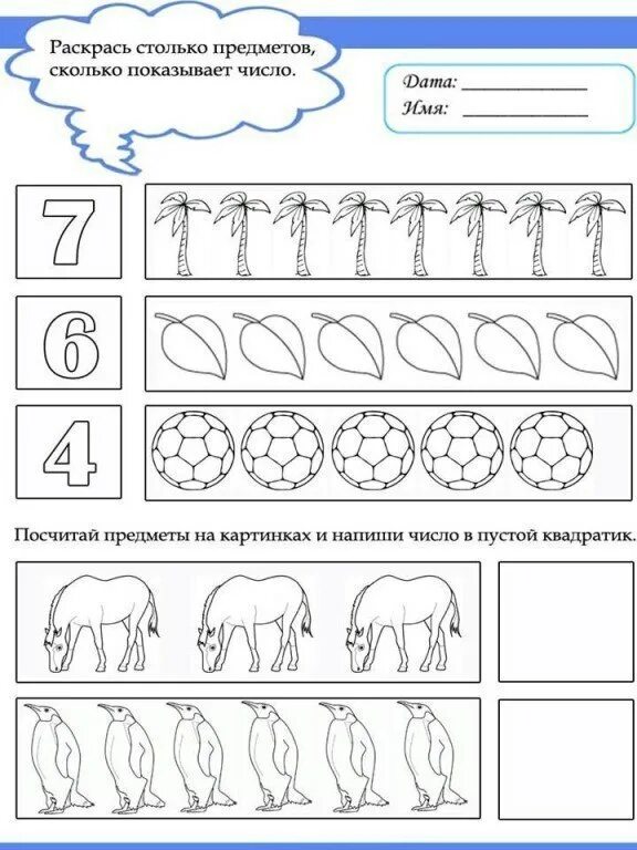 Раскрасьте соответствующим