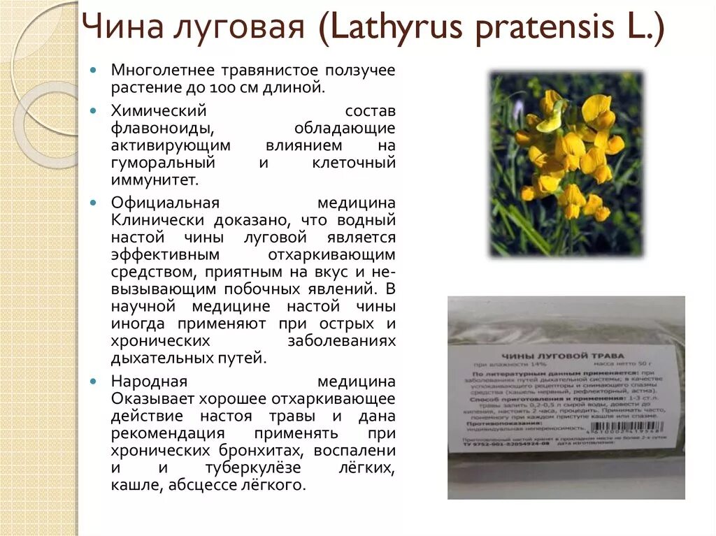 Что означает чина. Что означает чина
