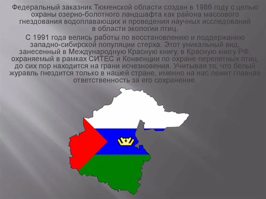 Сообщение про тюменскую область. Сообщение про тюменскую область