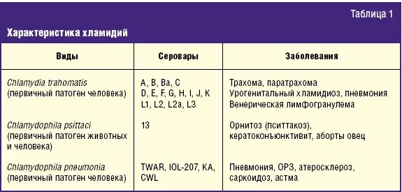 Хламидия в организме. Урогенитальный хламидиоз классификация. Характеристика хламидий. Хламидии характеристика. Заболевания человека вызванные хламидиями.