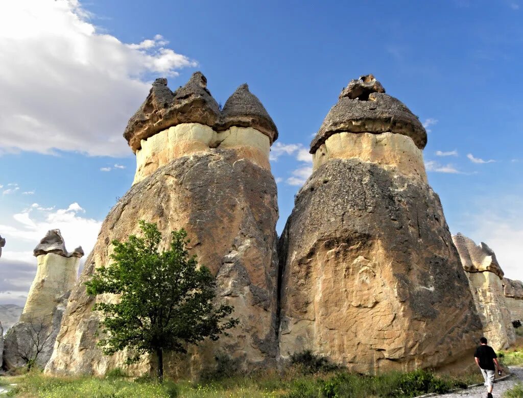 Каппадокия каменные грибы. Каменные грибы Каппадокия Турция. Peribacalari Турция каменные грибы. Каппадокия скалы грибы.