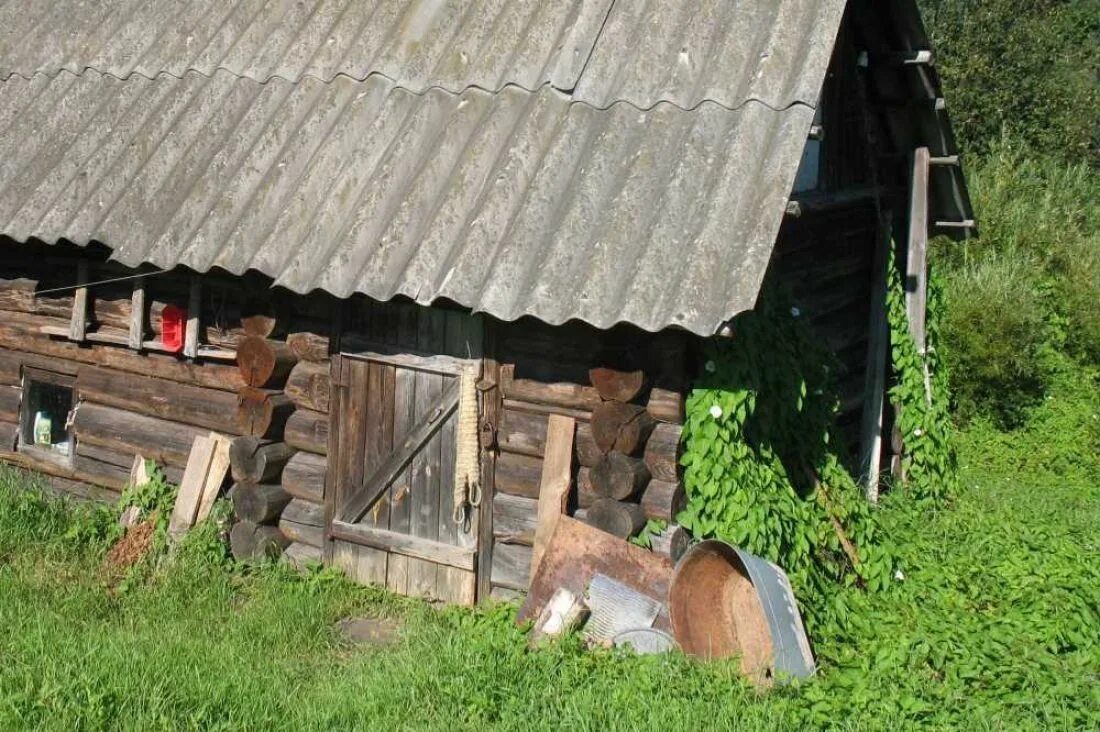 Дома в деревне в пензенской области