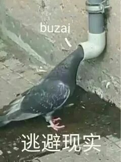 Где я слышал как будто в час