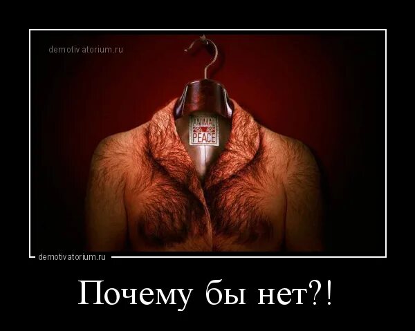 А почему бы и нет