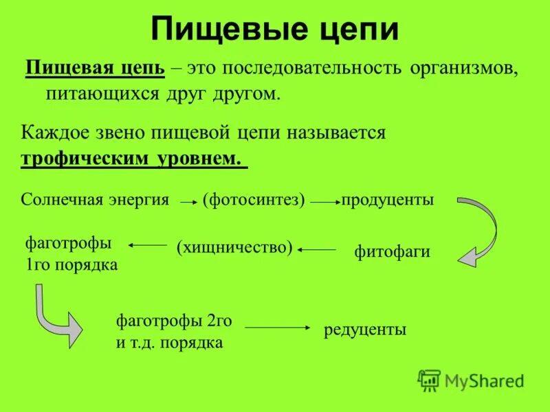 Первым звеном пищевой цепи являются продуценты. Последовательность пищевой цепи. Последовательность звеньев пищевой цепи. Каждое звено пищевой цепи называется. Пищевая цепь это в экологии.