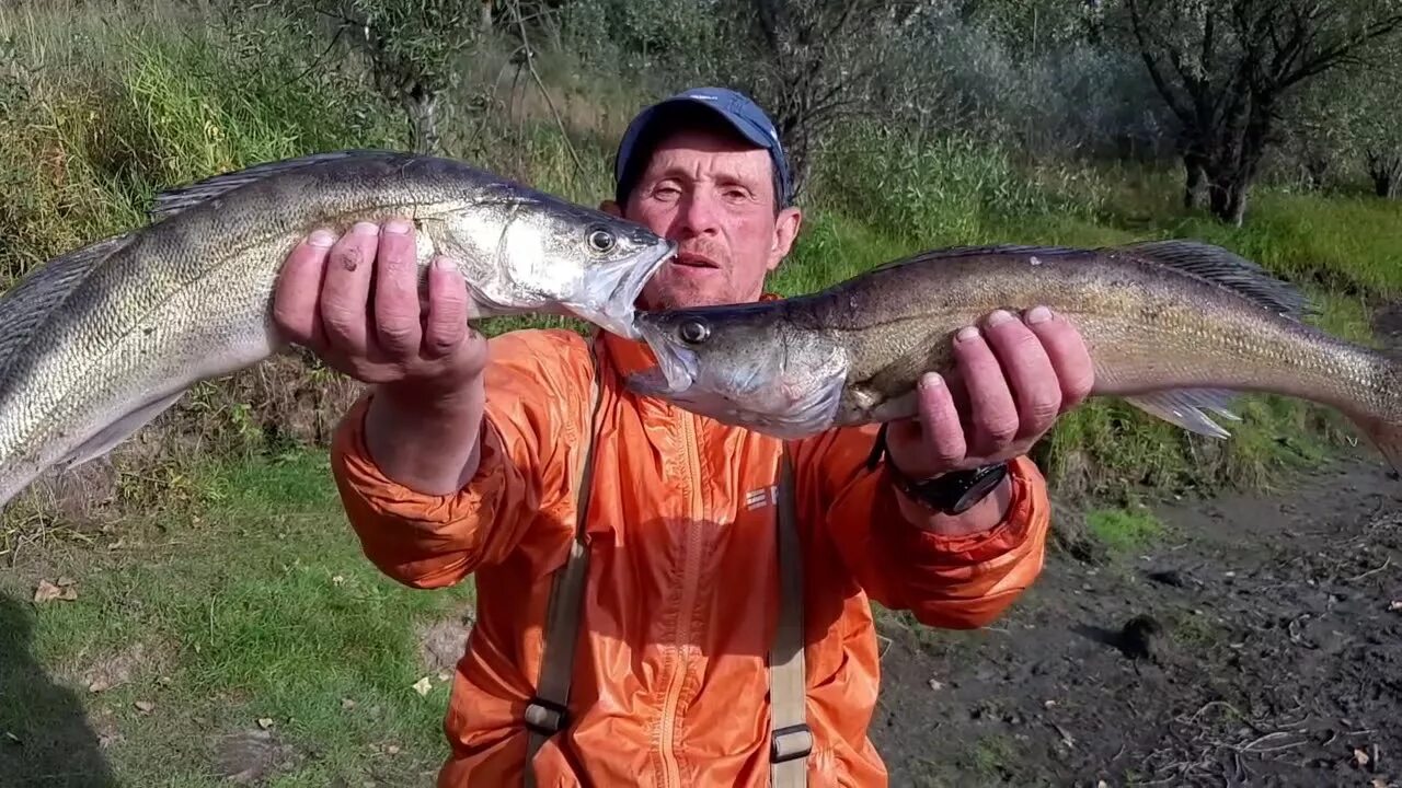 Погода в клепиково алтайский край. Озеро Шибаево Алтайский край рыбалка. Клепиково Алтайский край рыбалка. Алтайский край Клепиково Усть-Пристанский район. Рыбалка Шибаево Алтайский.