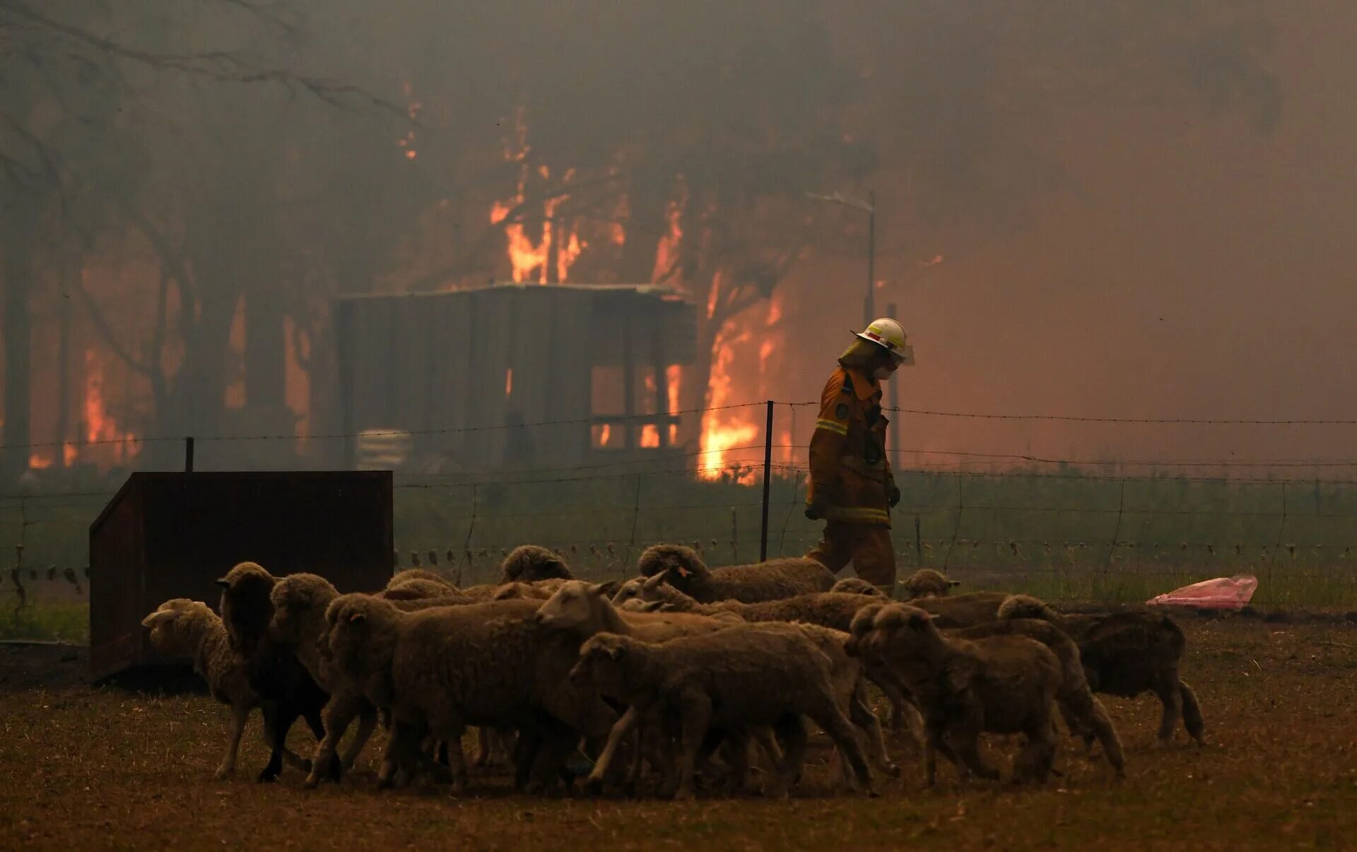 Лесной пожар в австралии 2019. Пожары в австралии. Лесные пожары в австралии 2019-2020. Пожары в австралии. Пожары в австралии.