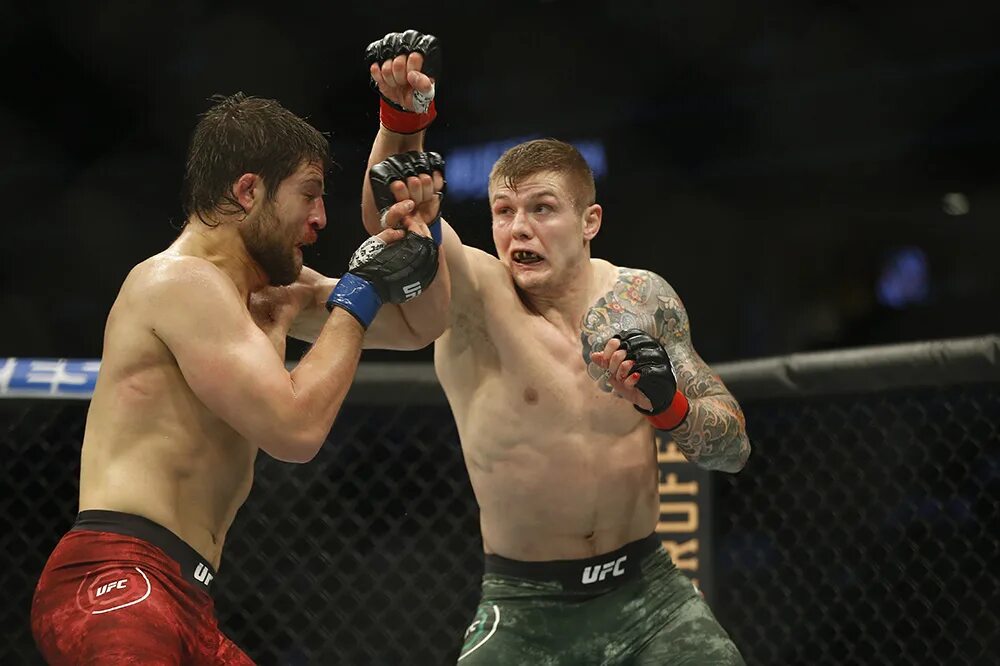 Юфс файт найт 233. Веттори боец юфс. марвин веттори ufc. эндрю санчес марвин веттори. марвин мма.