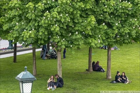 Участки москва лето