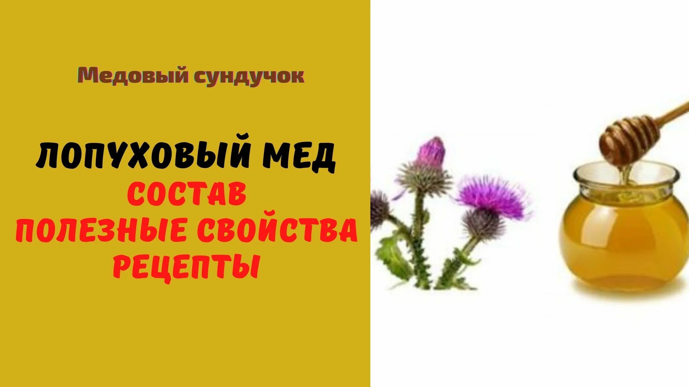 Мед репейный полезные свойства фото и цвет Лопух при гастрите: лечение гастрита соком, корнями и листьями лопуха