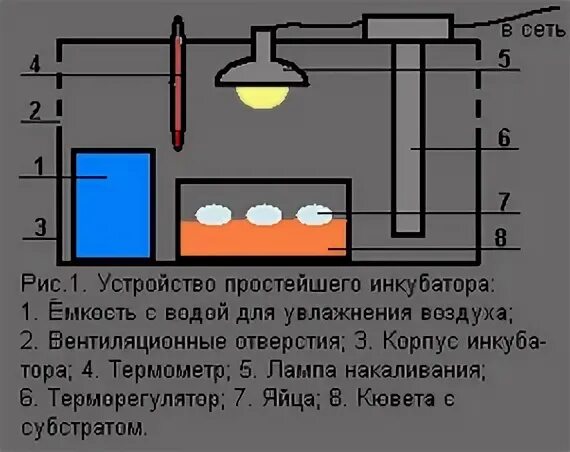 Как поднять влажность в инкубаторе. Схема самодельного инкубатора. Схема устройства инкубатора. Самодельный инкубатор чертежи. Конструкция промышленного инкубатора.