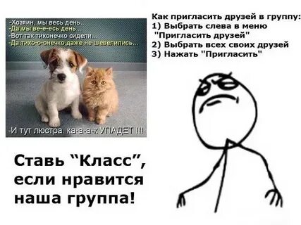 Кто ты из хозяев