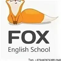 Little fox english