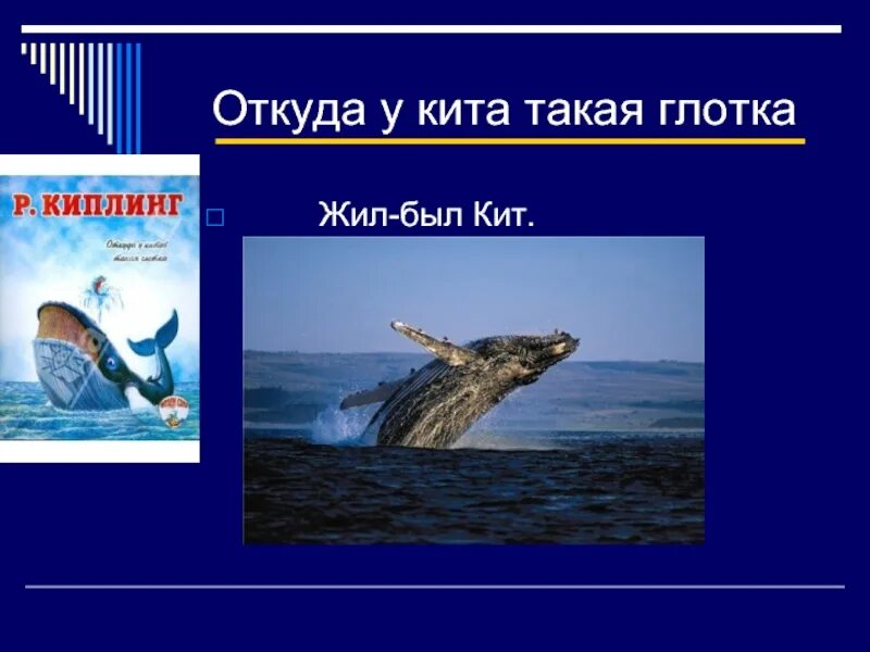 Глотка кита киплинг. Киплинг кит глотка. Киплинг откуда у кита такая глотка. Откуда у кита такая глотка рисунок. Откуда у кита.