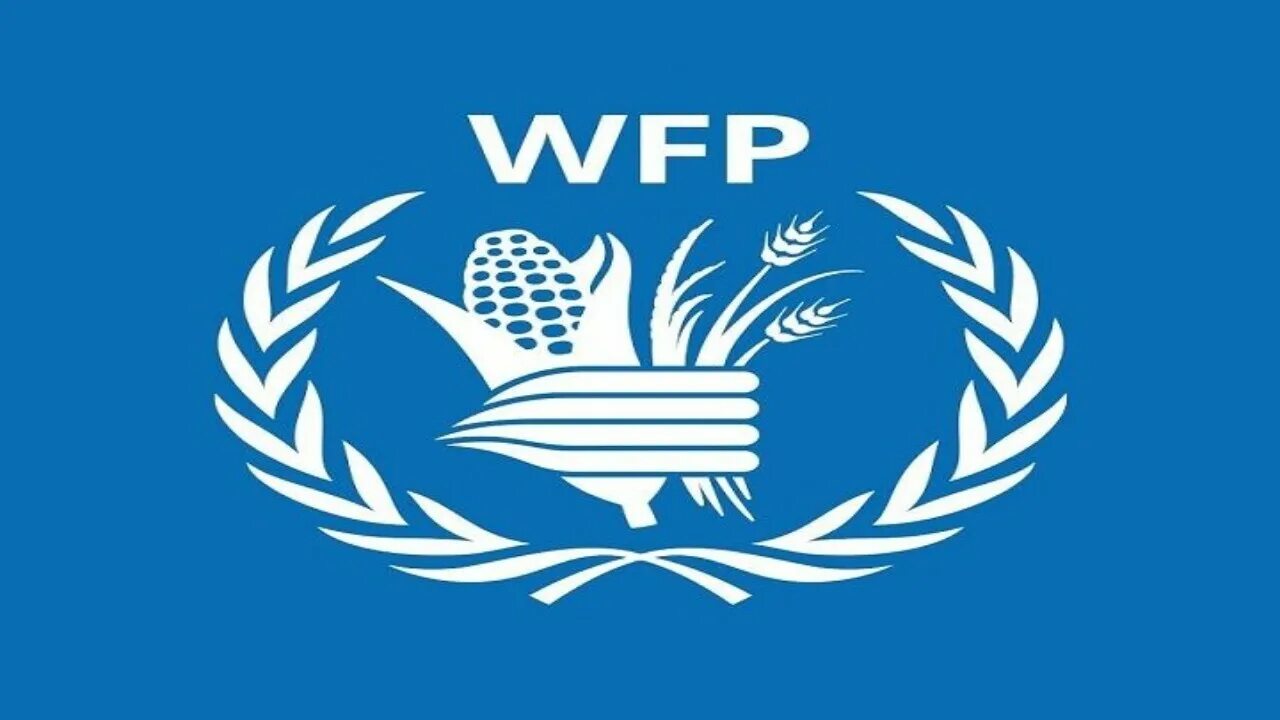 Впп оон. Wfp оон. wfp логотип. всемирная продовольственная программа. продовольственная программа оон.