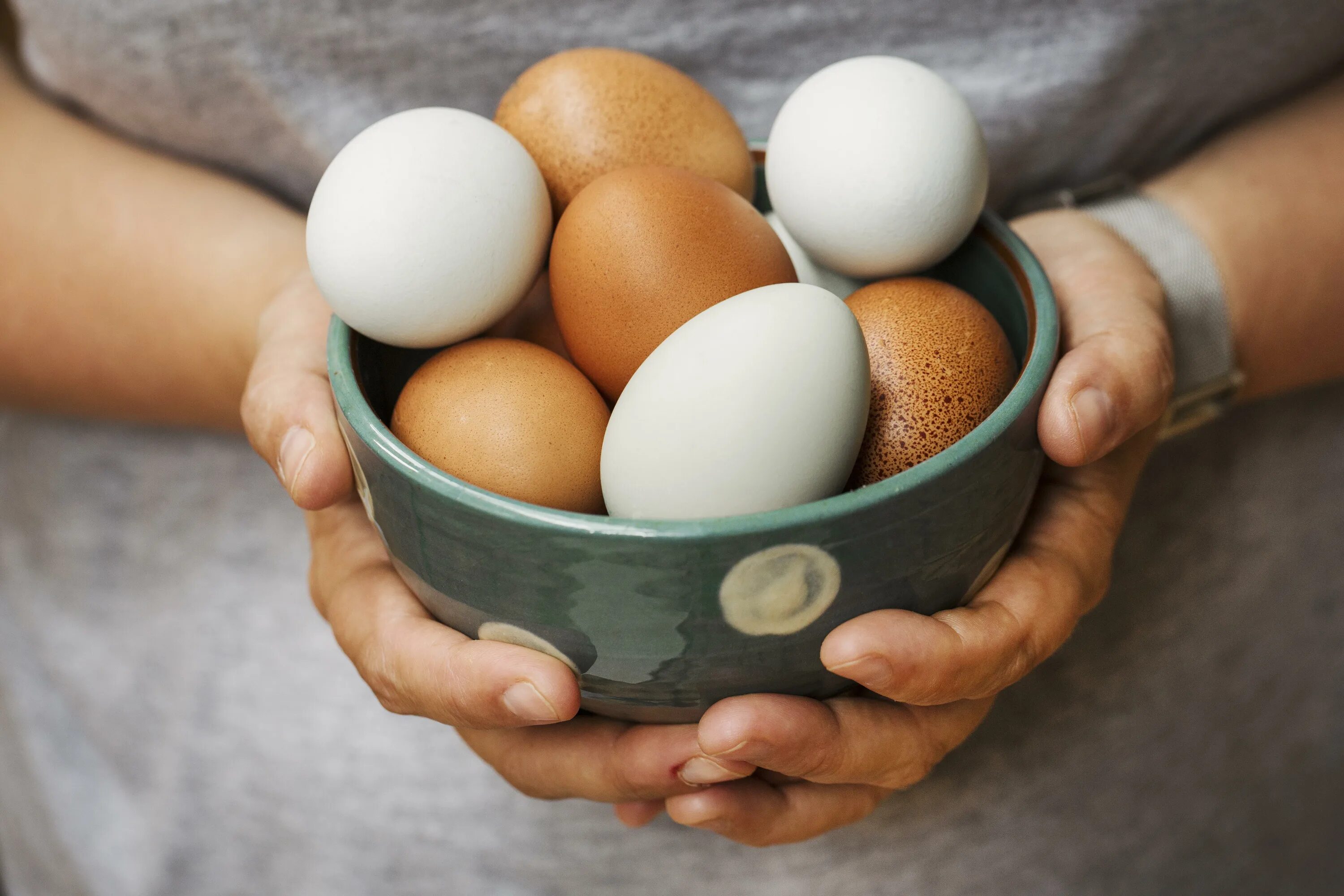 Eggs can be