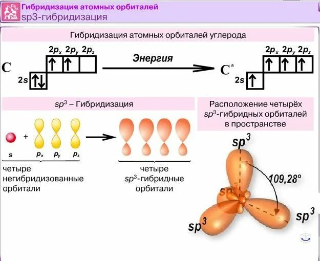 Гибридизация атомов орбиталей. Sp2 гибридные орбитали углерода. гибридизация орбиталей в органической химии. гибридные sp3 орбитали образуются. sp3 гибридизация углерода.