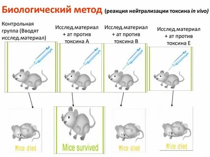 Реагирует на мышь