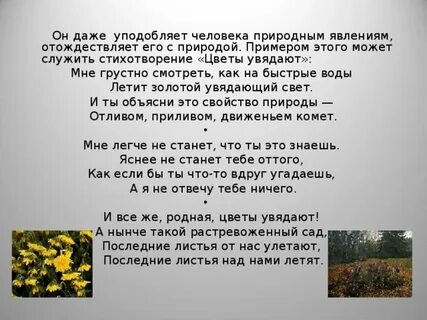 Последние цветы стихи