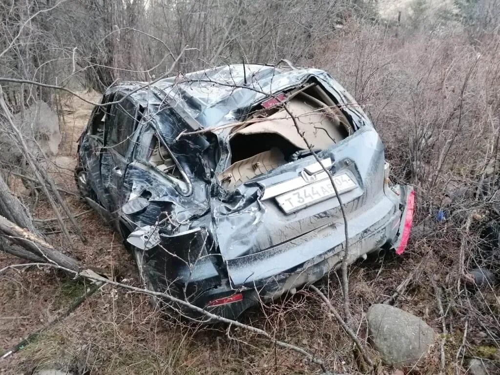 Происшествия алтайский за неделю. Авария в Кош Агачском районе.