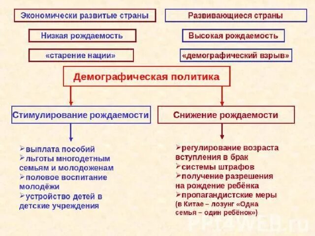 Политика поощрения рождаемости