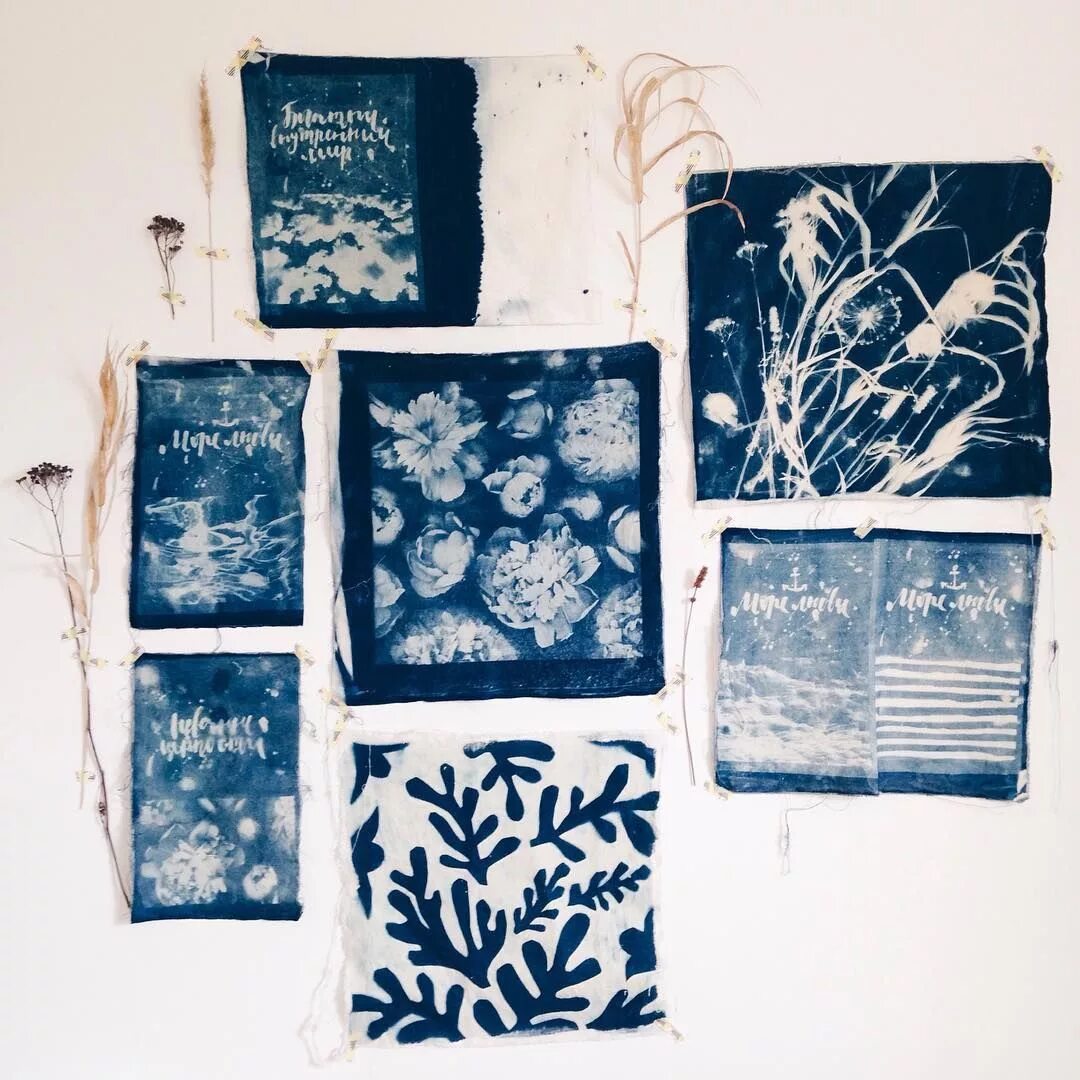 Цианотипия это. Техника цианотипия. Цианотипия зеленого цвета. Цианотипия. Цианотипия негатив.