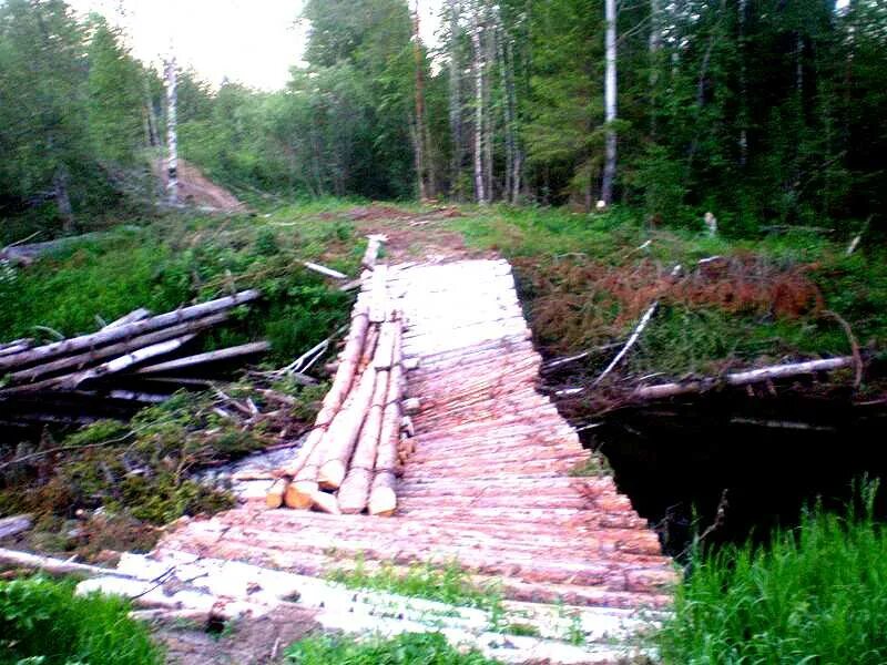 Гать. Лежневка гать. Устройство лежневой дороги. Лежневый фундамент опор 110 кв. Гать на болоте.
