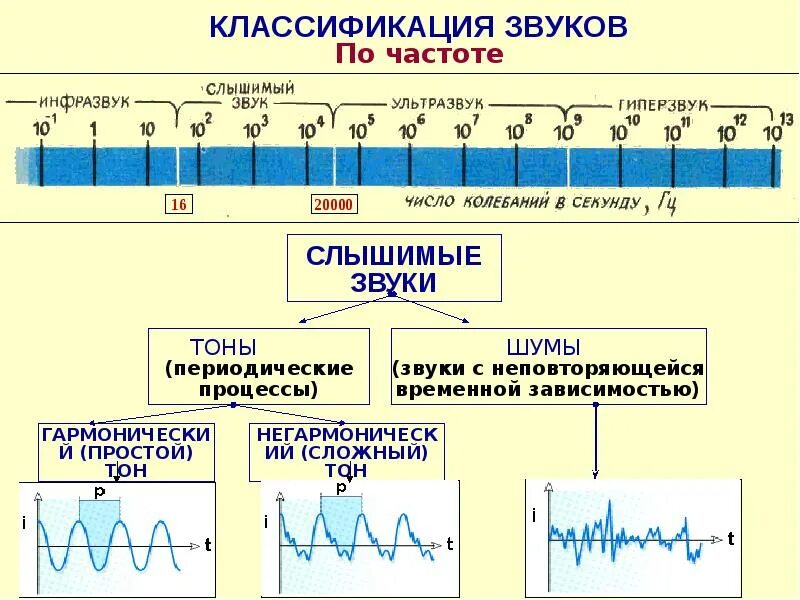 Ультразвук какой диапазон. Звуковые волны инфразвук ультразвук. частота ультразвука. классификация звуковых волн.