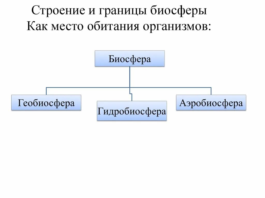 Строение и границы биосферы как место обитания организмов. Биосфера Ноосфера Техносфера. Распределение жизни в биосфере. Границы биосферы рисунок. Равномерно ли распределены организмы в биосфере