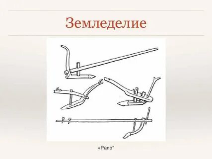 Год соха картинки