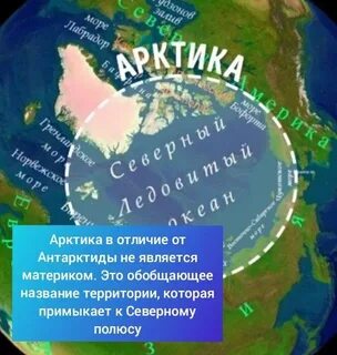 арктика и антарктика в чем разница
