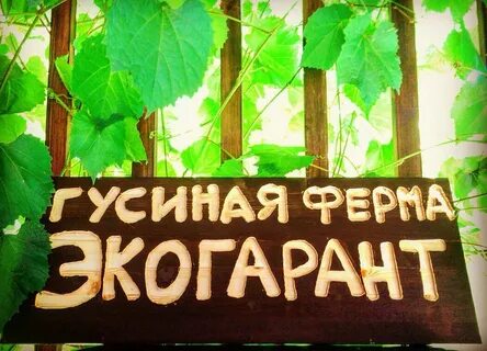 Экогарант