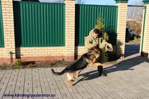 Охрана участка