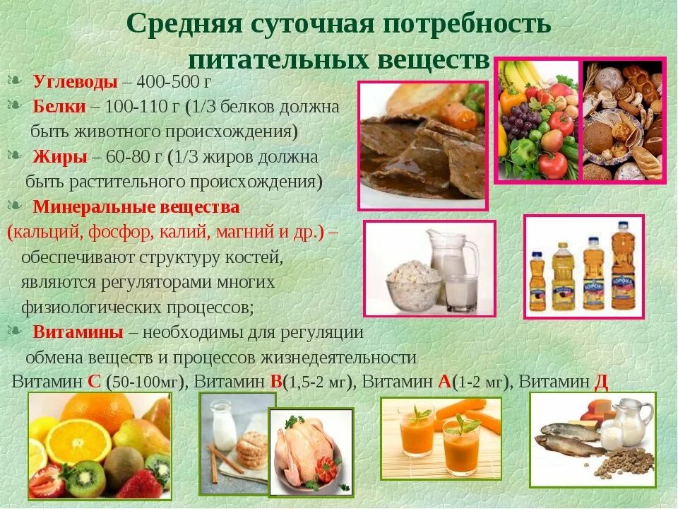 Назовите какие питательные