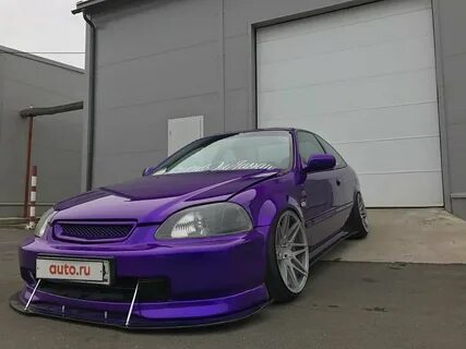 Purple 6