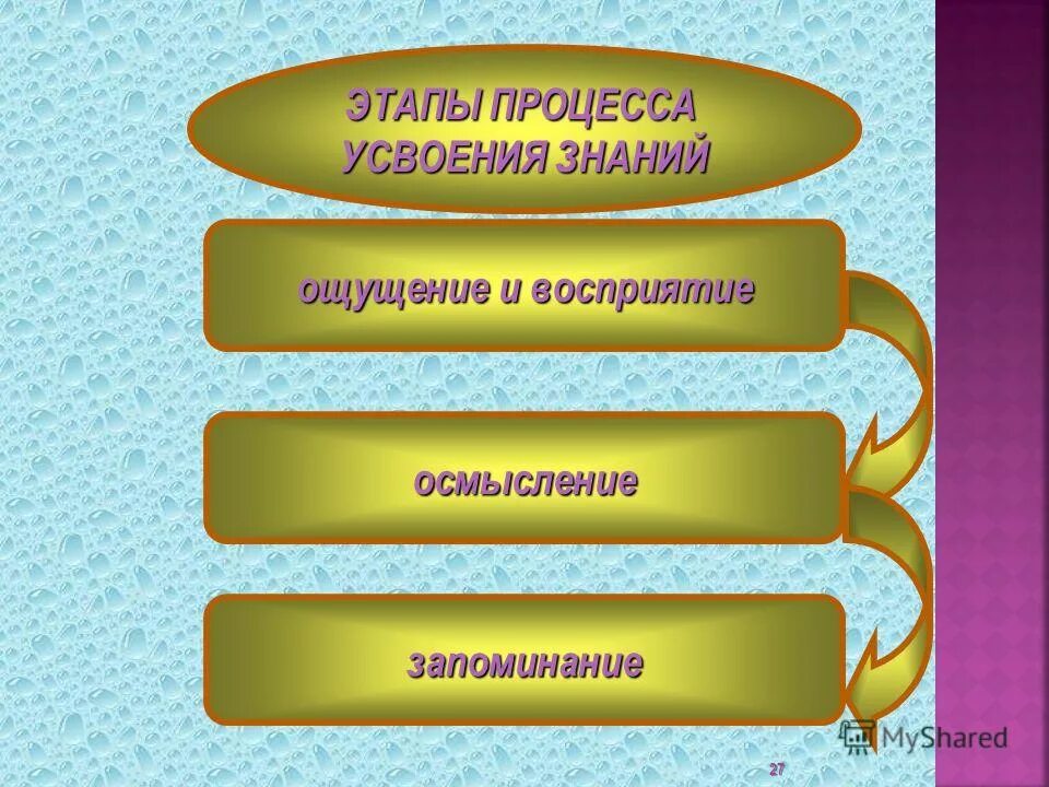 Этапыпрруесса усвоения. Этапы процесса усвоения. Стадии процесса усвоения знаний. Последовательность этапов процесса усвоения знаний. Этапы освоения знания