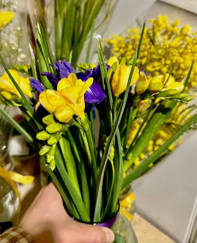 фрезия запах