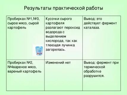 Что делали что наблюдали вывод химия