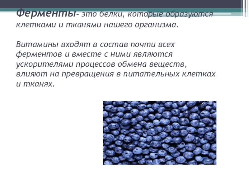 В ферменты входят гормоны. В состав ферментов входят. Какие вещества входят в состав ферментов. Также в состав этих веществ входят ферменты. В состав ферментов входят также.