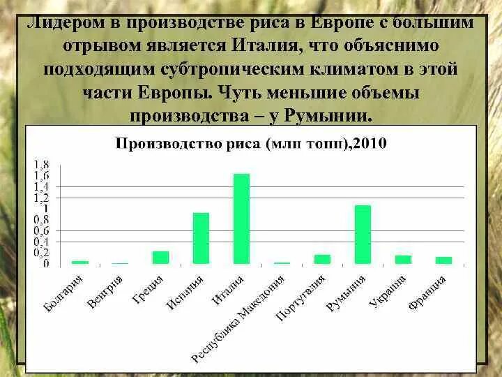 Страны Лидеры по производству риса. Лидеры стран по производству Ри а. Страны производители риса Лидеры. Рис производители. Крупнейшими производителями риса являются