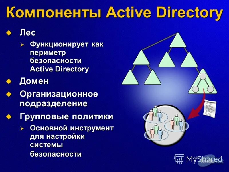 Типы active directory. Структура active directory. что такое лес в active directory. основные компоненты active directory.