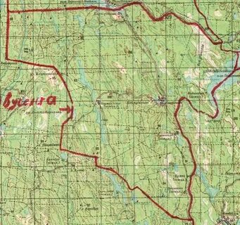 Площадь серебрянского лесничества