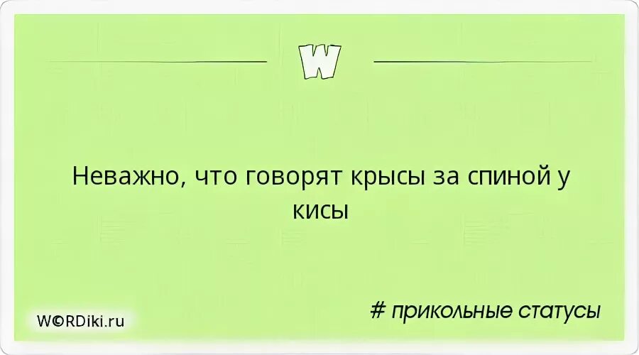 Не важно что за спиной у кисы. Учитель открывает дверь китайская пословица. Учителя открывают дверь входишь ты сам. Входишь ты сам учителя открывают. Учитель открывает дверь.