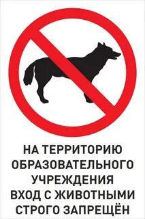 Запретить 20